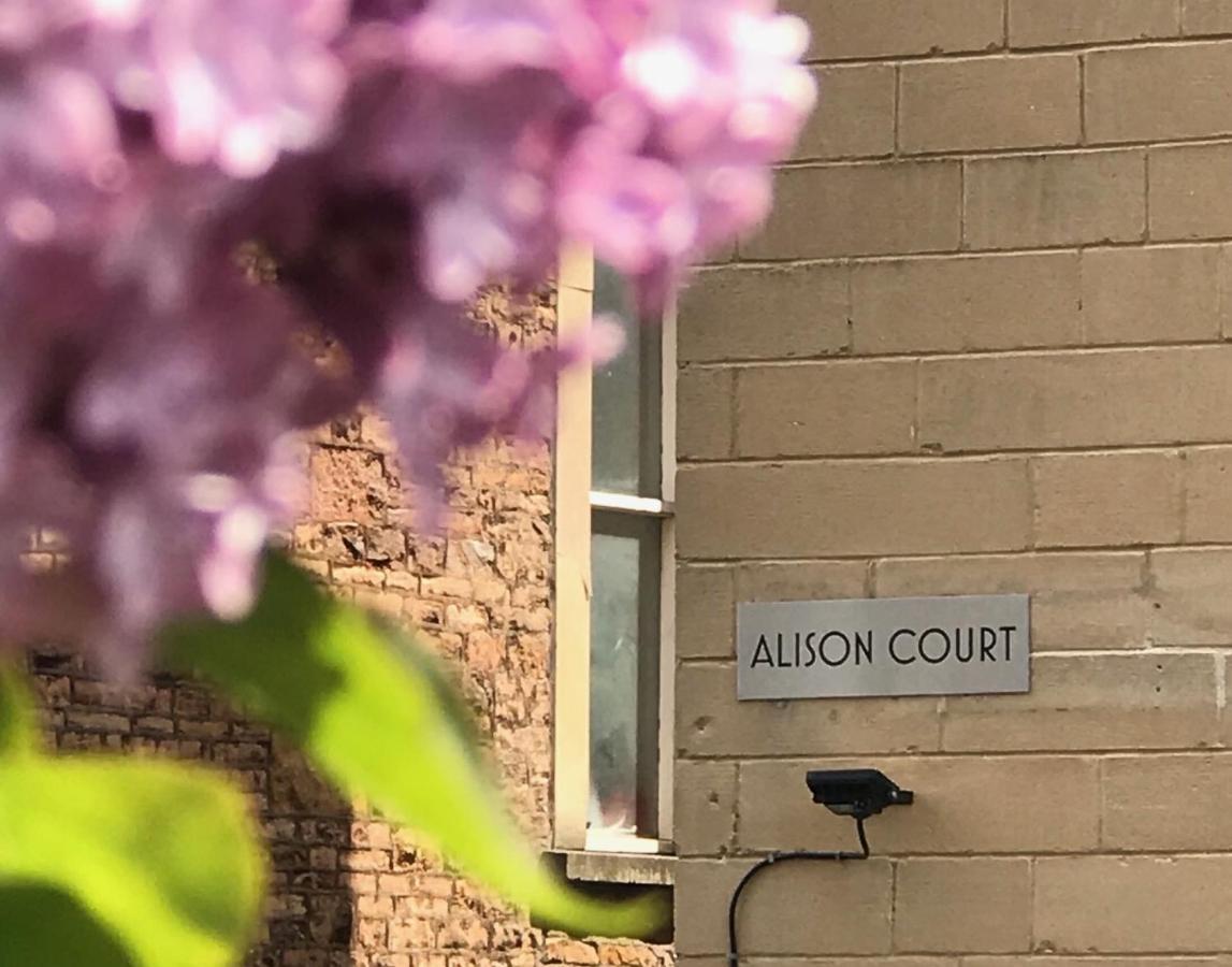 Alison Court Apartment Bristol Bagian luar foto